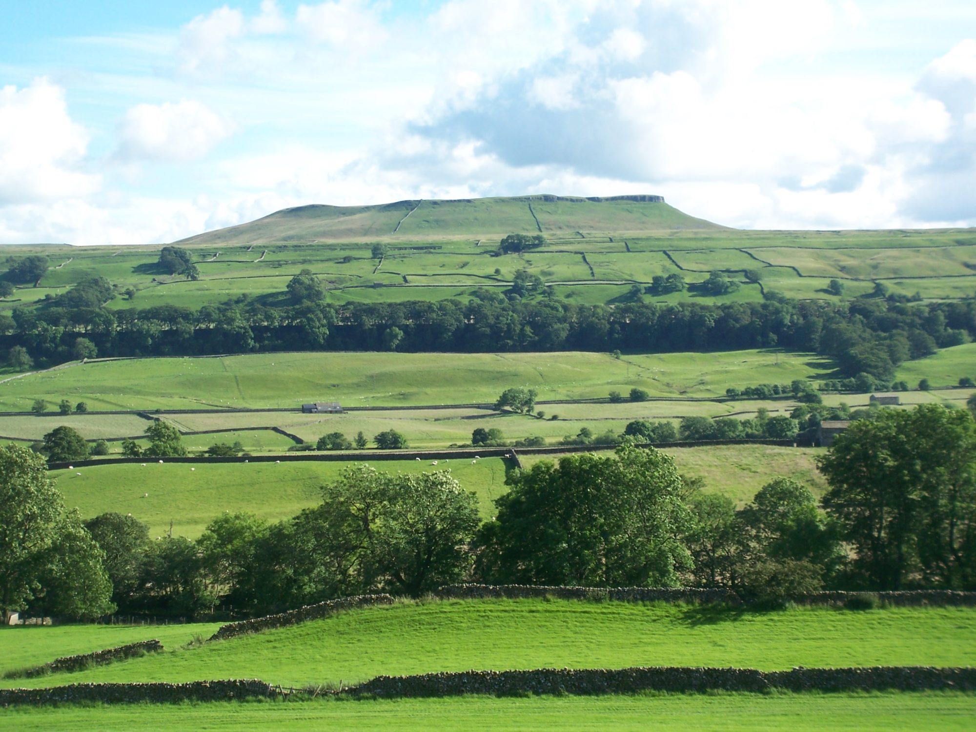 Addlebrough rising above the walled fields of Wensleydale