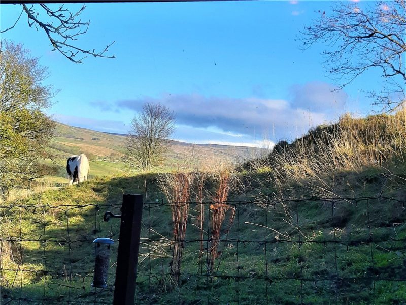 5 Gardenwell Cottages, Burtersett — photo 14