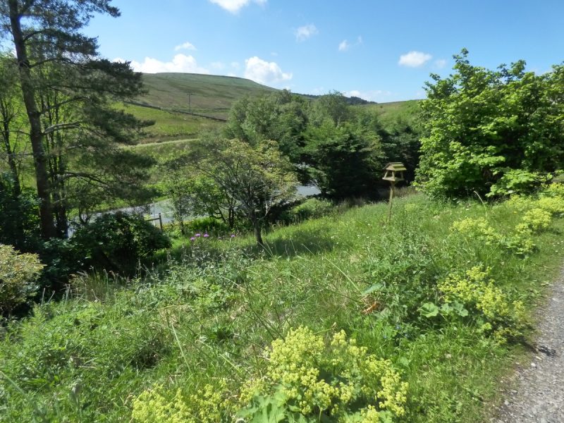 2 Moorcock Cottages, Garsdale — photo 13