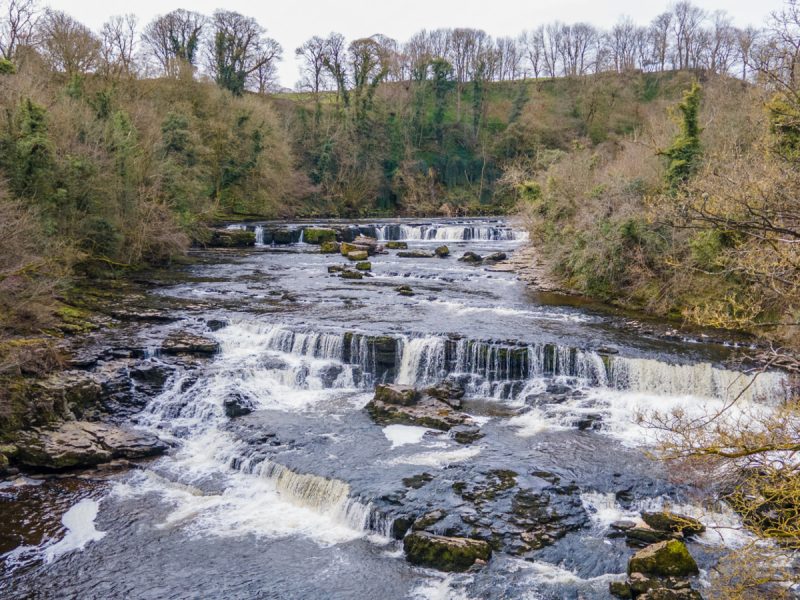 Mill Race Tea Shop, Aysgarth — photo 15