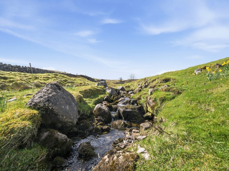 High Oxnop, Gunnerside, DL11 6JJ — photo 20
