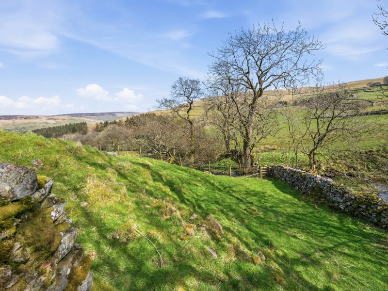 High Oxnop, Gunnerside, DL11 6JJ — photo 28