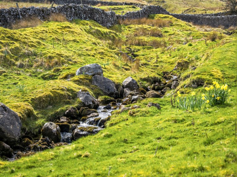 High Oxnop, Gunnerside, DL11 6JJ — photo 3