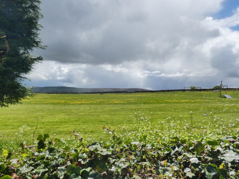 12 Cypress, Riseber Lane, Leyburn, DL8 5DQ — photo 2